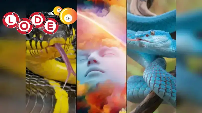 Giải mã giấc mơ thấy rắn - Ý nghĩa và số đẹp
