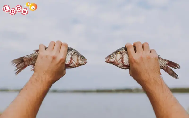 Mơ thấy bản thân đang bắt cá