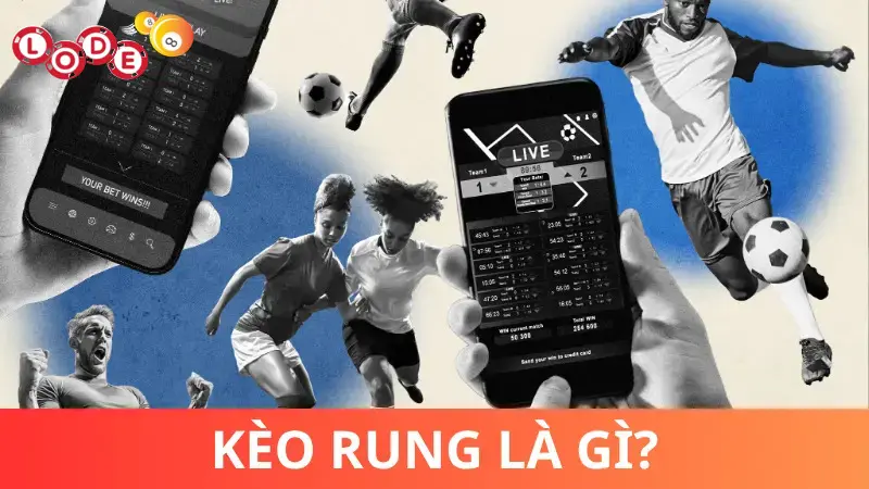 Những dòng phổ biến của Kèo rung là gì?