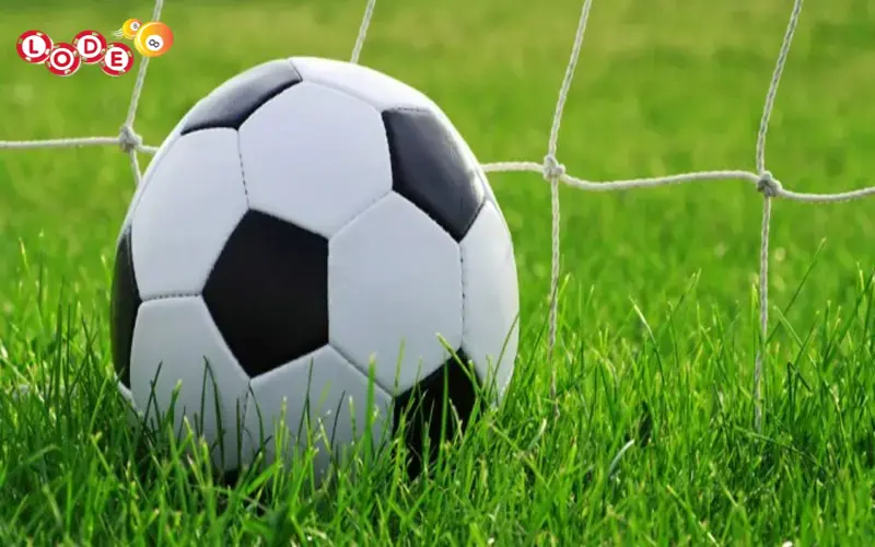 Xác định kết quả thắng thua khi cược kèo bóng tài xỉu